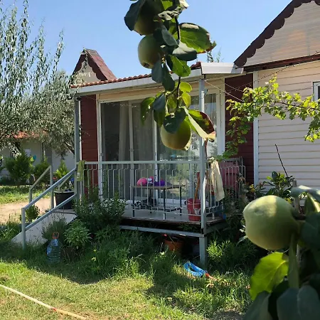 Gunes Tatil Koyu *